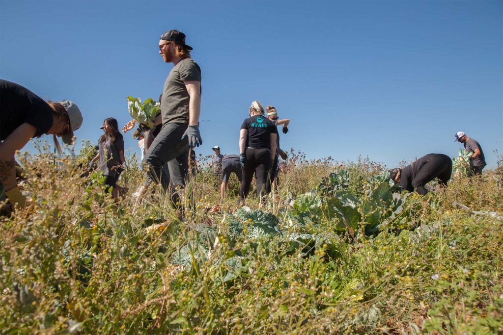 Leaf411 Supporter Spotlight Lisa Gee, Director of Marketing and