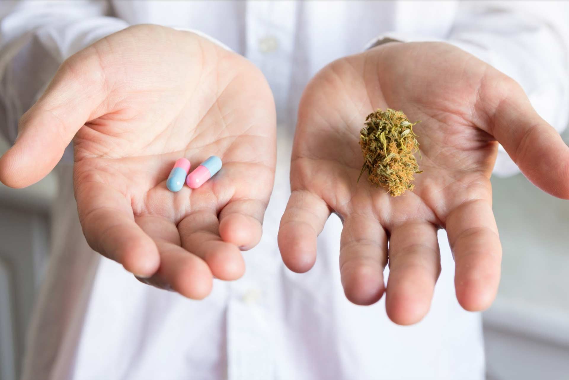 Open hands holding cannabis flower in one hand and pharmaceutical pills in the other hand