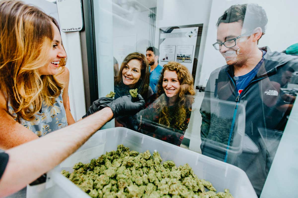 View from inside Seed & Smith’s cultivation facility. A tour group looks through a window at a big container of cannabis flower.