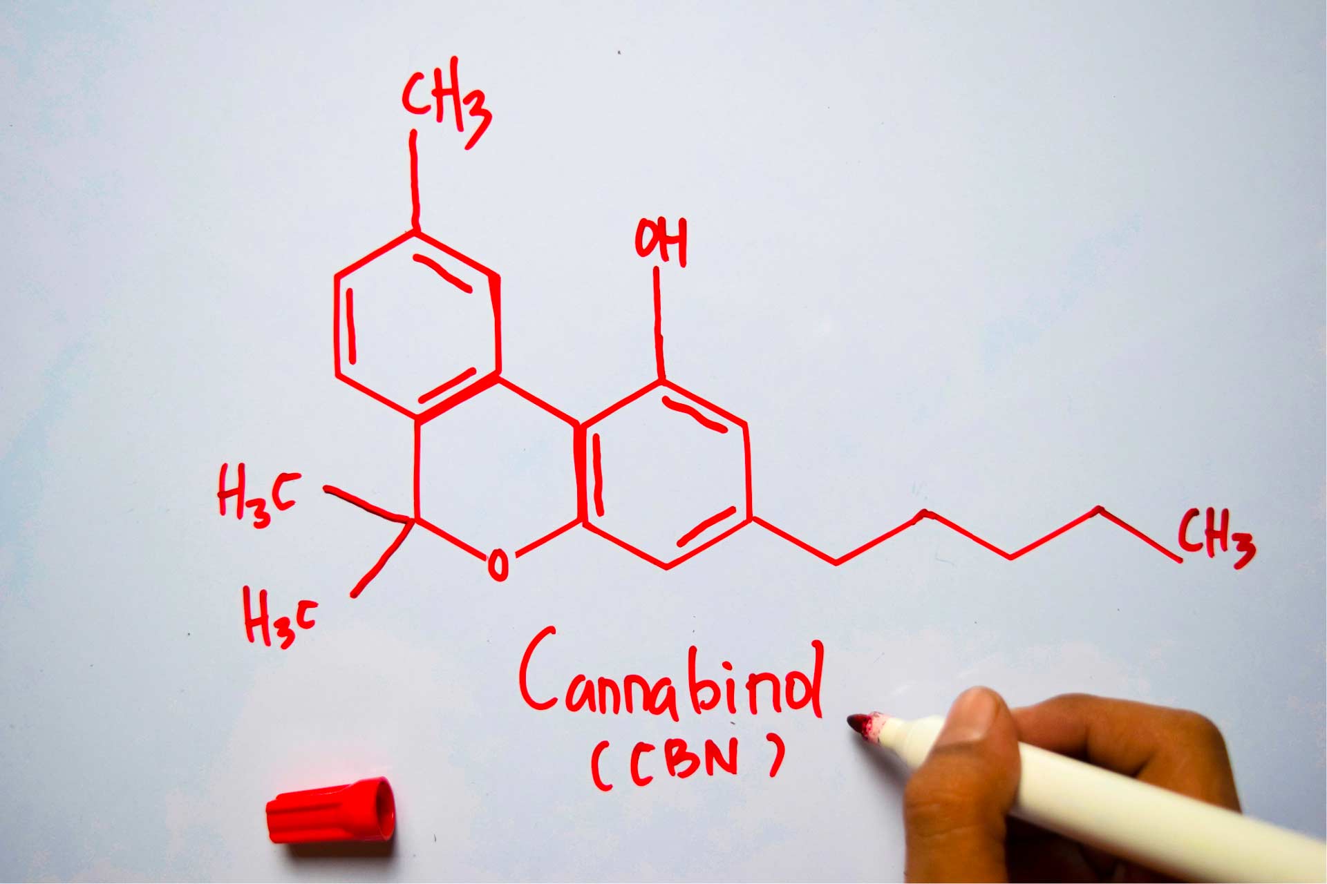 Cannabinol (CBN) molecular structure drawn on whiteboard.