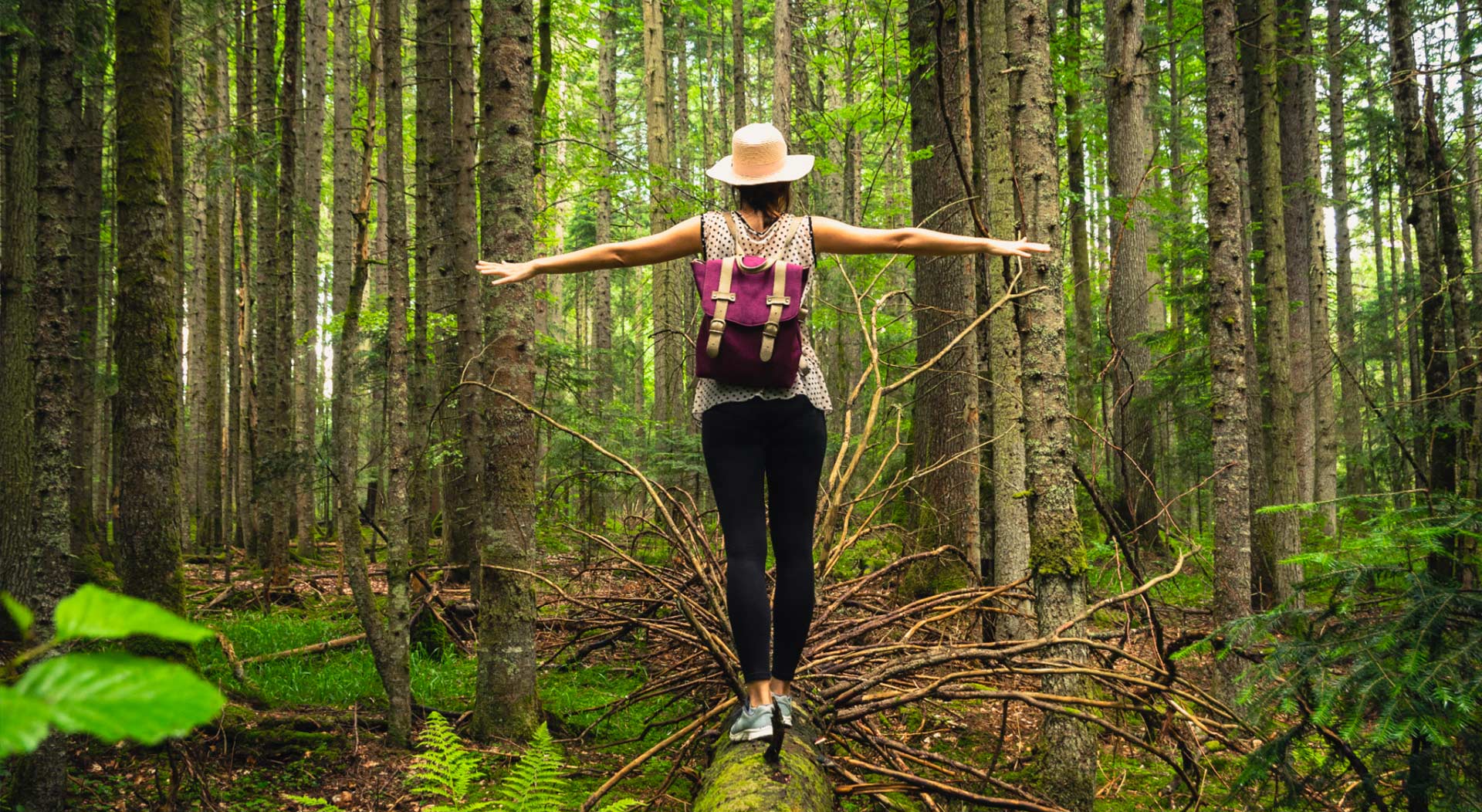 Woman balancing on a fallen tree log in a green forest, representing the balance the ECS provides.