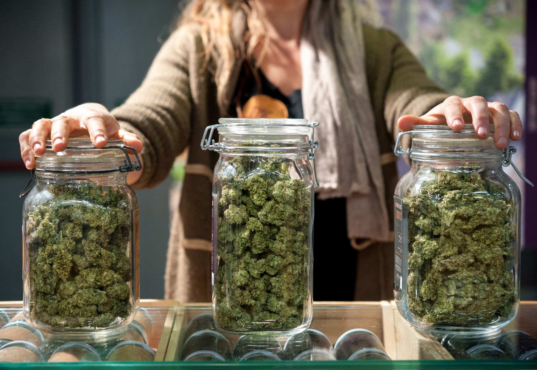 Three large jars of cannabis at a dispensary. Knowing why you want to use cannabis can help you make the right choice.