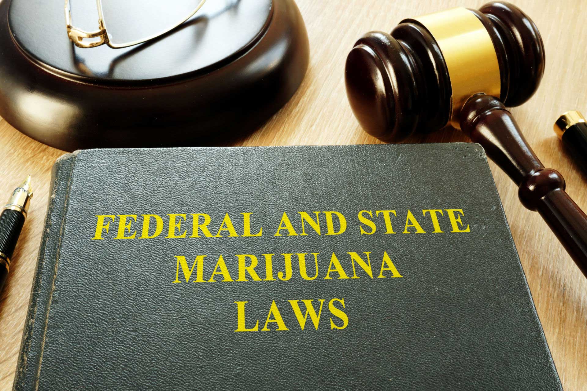 Book cover saying “Federal and State Marijuana Laws” which will change if cannabis is federally legalized.