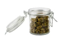 cannabis flower in storage jar