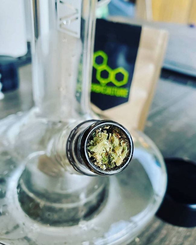 Flower from Maryland’s Herbiculture medical dispensary packed into bong bowl.