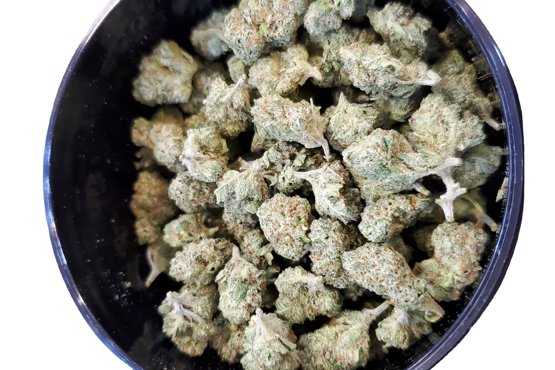 Popcorn buds available at Nature’s Gift Shop medical and recreational dispensary in Pueblo West, Colorado.