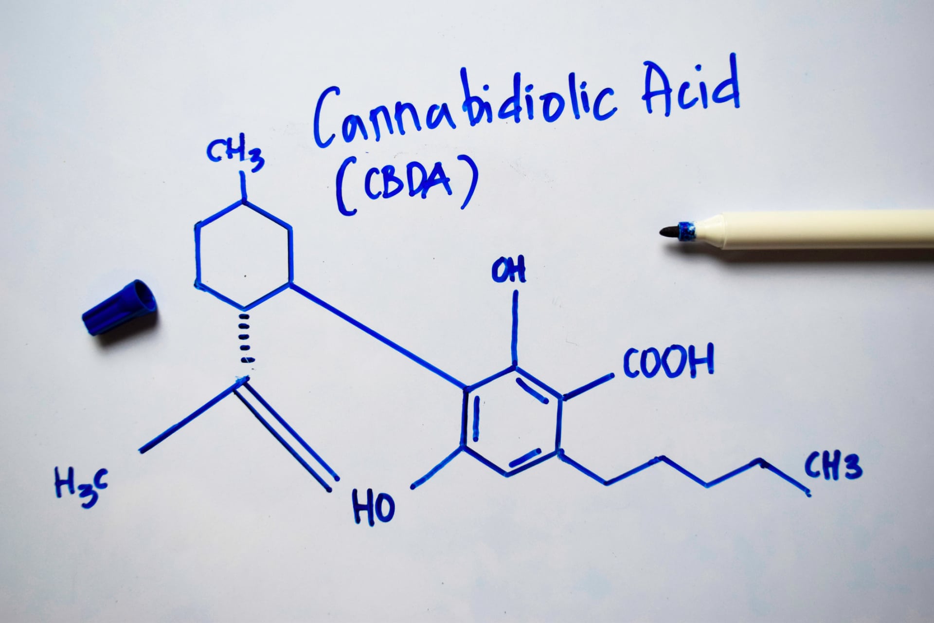 Whiteboard drawing of CBDA’s molecular structure