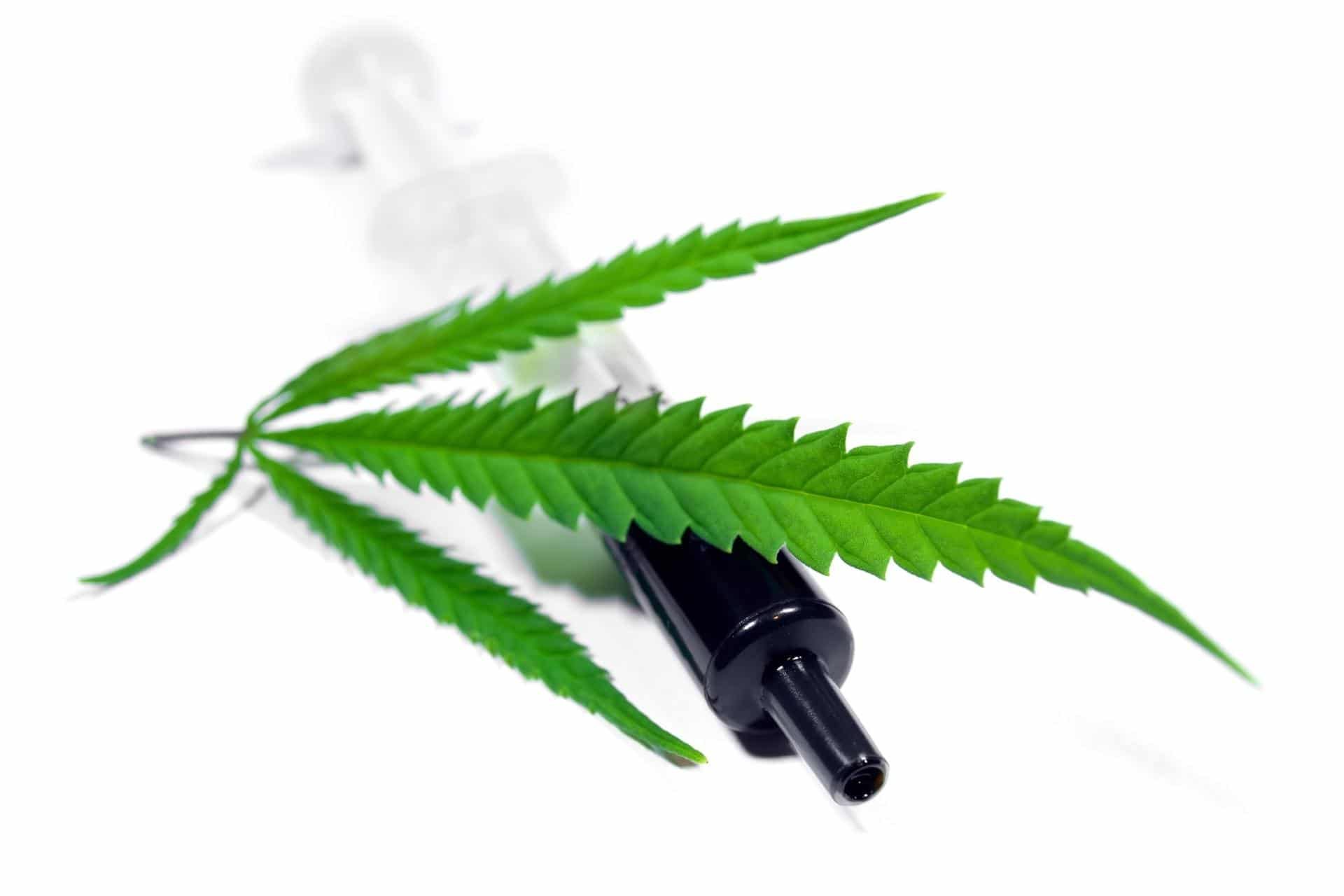 RSO cannabis oil syringe and cannabis leaf.