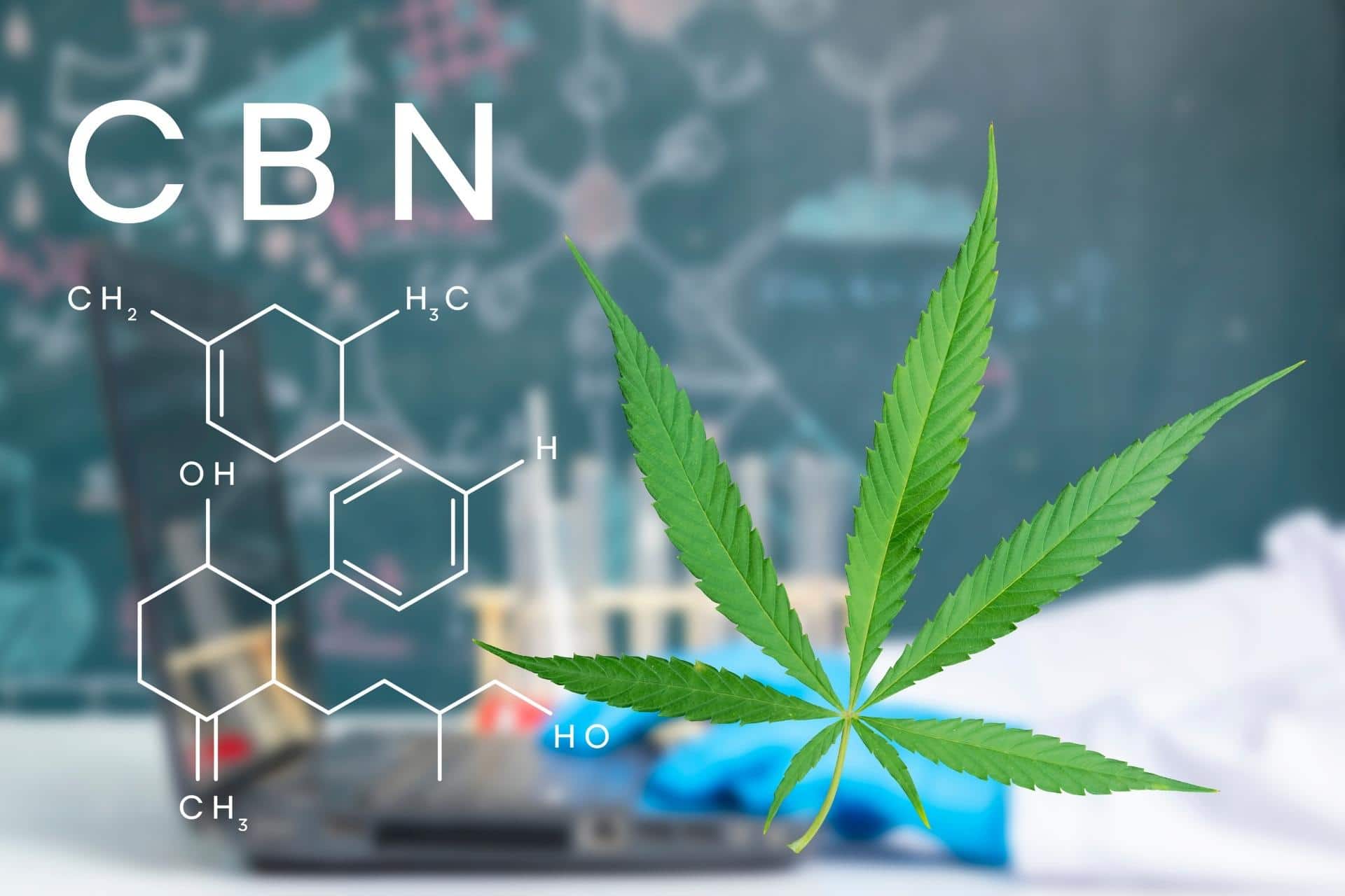 Cannabis leaf next to molecular structure of CBN molecule with chalkboard in background